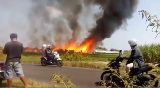 Kebakaran menimpa kadang ayam di Dusun Bantengan, Desa Tanjunggunung, Kecamatan Peterongan, Kabupaten Jombang, Jawa Timur. Pemilik mengaku investasi Rp 2 miliar amblas. Foto: pojok_update