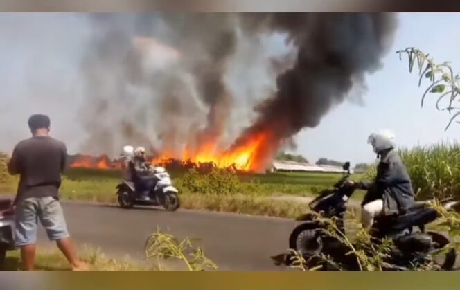 
					Kebakaran menimpa kadang ayam di Dusun Bantengan, Desa Tanjunggunung, Kecamatan Peterongan, Kabupaten Jombang, Jawa Timur. Pemilik mengaku investasi Rp 2 miliar amblas. Foto: pojok_update