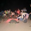 Para aktivis bersuka cita bertemu induk penya di area konservasi penyu di pantai Tatar Sepang, Sumbasa Barat. Foto: ist