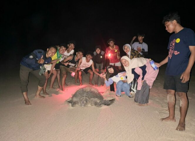 
					Para aktivis bersuka cita bertemu induk penya di area konservasi penyu di pantai Tatar Sepang, Sumbasa Barat. Foto: ist