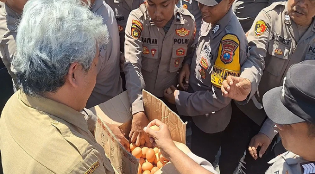 Bagi telur gratis