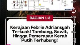 Koalisi Sipil Masyarakat Anti Korupsi (Kosmak) yang beredar di dunia medsos, Jumat, 17 Juli, 2026. Menunjukkan skema jaringan gurita bisnis yang di dalamnya termasuk nama Febrie Adriansyah. Foto: instgaram@lensight.id