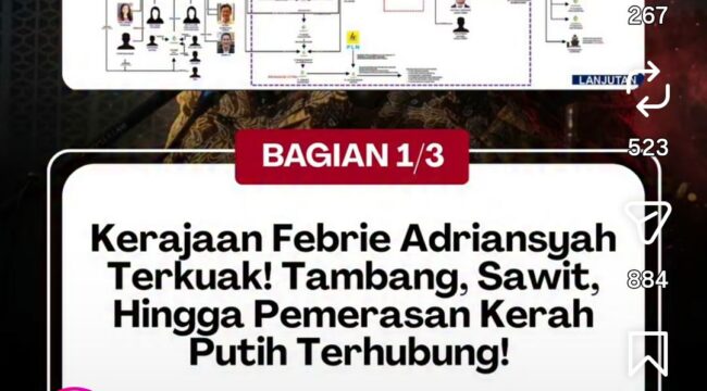 Koalisi Sipil Masyarakat Anti Korupsi (Kosmak) yang beredar di dunia medsos, Jumat, 17 Juli, 2026. Menunjukkan skema jaringan gurita bisnis yang di dalamnya termasuk nama Febrie Adriansyah. Foto: instgaram@lensight.id