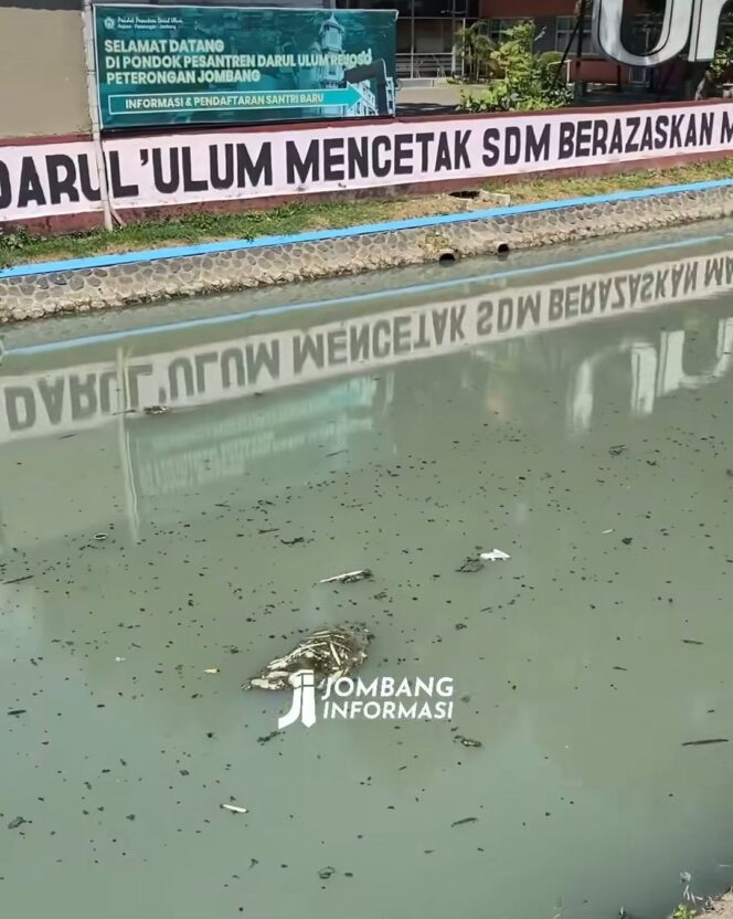 
					Sudah terjadi lebih 10 tahun, limbah produksi tahu di wilayah Jogoroto, membuat cemaran air dan bau busuk di sungai Rejoso. Foto: instagram@jombanginformasi