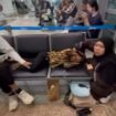 Sebanyak 24 jamaah umrah Indonesia, telantar di bandara Kuala Lumpur, Malaysia, karena tiketnya tidak sampai ke Indonesia, Senin 27 Juli 2026. Foto: instagram@jendeka_infirmasi_dunia