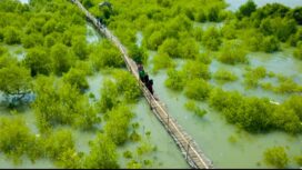 Turut menjaga kelestarian eko sistem alam, PT Peteokimia Greik, tanam 1.000 mangrove di wilayah Bungah, Gresik. Foto: ist