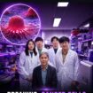 Tim ahli dari KAIST Korea berhasil menemukan 'Sel Genetik' pengubah sel kanker menjadi sel normal sesuai fungsi awal. Foto: ist