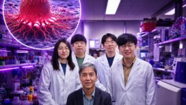 Tim ahli dari KAIST Korea berhasil menemukan 'Sel Genetik' pengubah sel kanker menjadi sel normal sesuai fungsi awal. Foto: ist