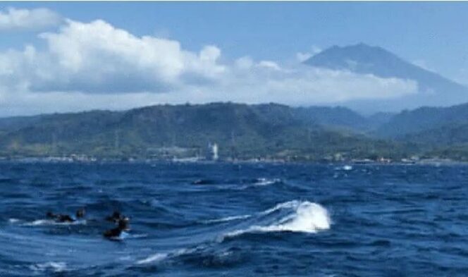 
					BMKG Keluarkan Peringatan Gelombang Tinggi di Selat Bali