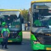 Armada bus Trans Jatim