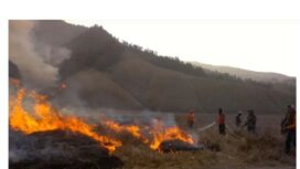 Kebakaran Gunung Bromo menghanguskan sekitar 120 hektare, diduga dipicu aktivitas manusia, bukan faktor alam. (Foto: X/@juanjulianto2)
