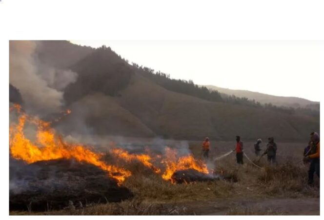 
					Kebakaran Gunung Bromo menghanguskan sekitar 120 hektare, diduga dipicu aktivitas manusia, bukan faktor alam. (Foto: X/@juanjulianto2)
