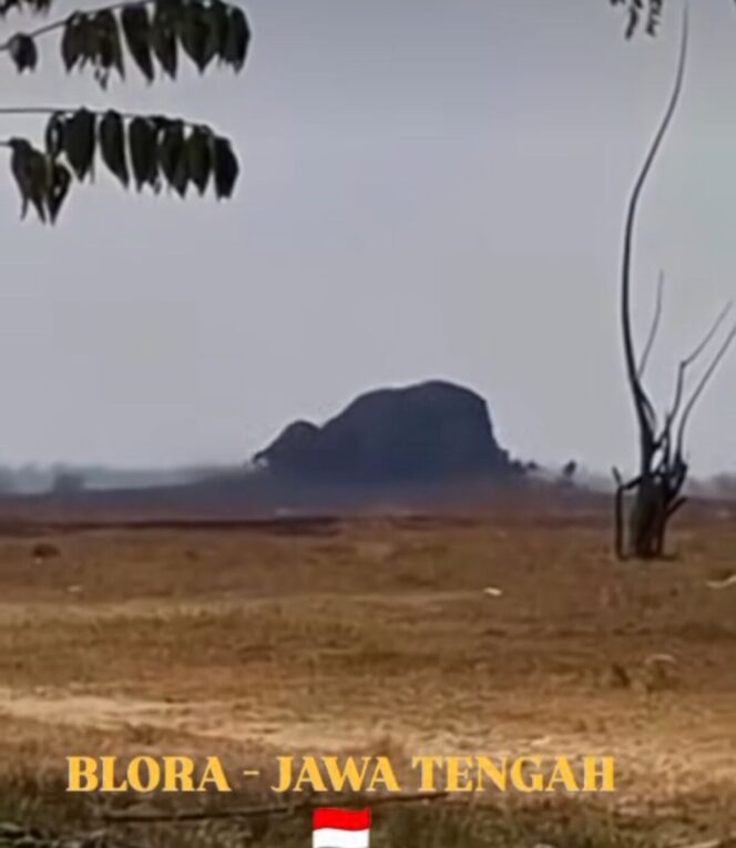 
					Beginilah kondisi semburan lumpur pekat yang sudah terjadi sejak 1978 hingga saat ini yerus terjadi Oro-Oro Kesongo, Desa Tempuran, Kecamatan Kunduran, Blora Jawa Tengah. Foto: ist