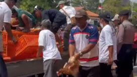 Prihatin harga naik terus, bukan menguntungkan peternak, melainkan menguntukan pedagang. Koperasi Unggas Batabg, Jateng, bagikan 600 ekor ayam gratis kepada warga, Senin 10 Aguatus 2026. Foto: instagram@batang_info
