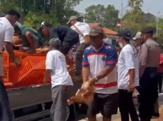 Prihatin harga naik terus, bukan menguntungkan peternak, melainkan menguntukan pedagang. Koperasi Unggas Batabg, Jateng, bagikan 600 ekor ayam gratis kepada warga, Senin 10 Aguatus 2026. Foto: instagram@batang_info