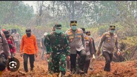 Pangam dan Kapolda Riau turun ke lokasi pemadaman hutan. Foto: Ist