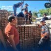 Dalam kondisi harga telur masih belum membaik, peternak ayam telur di Blitar mengirim bantuan 8.7 ton telur kepada saudara saudaranya di NTT yang menjadi korban gempa Flores. Foto: ist