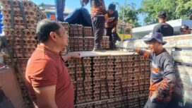 Dalam kondisi harga telur masih belum membaik, peternak ayam telur di Blitar mengirim bantuan 8.7 ton telur kepada saudara saudaranya di NTT yang menjadi korban gempa Flores. Foto: ist