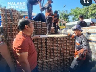 Dalam kondisi harga telur masih belum membaik, peternak ayam telur di Blitar mengirim bantuan 8.7 ton telur kepada saudara saudaranya di NTT yang menjadi korban gempa Flores. Foto: ist