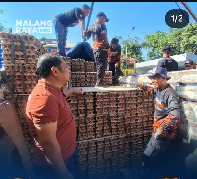 
					Dalam kondisi harga telur masih belum membaik, peternak ayam telur di Blitar mengirim bantuan 8.7 ton telur kepada saudara saudaranya di NTT yang menjadi korban gempa Flores. Foto: ist