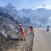 Karhutla Kawah Ijen