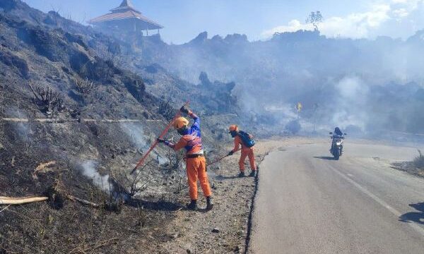 Karhutla Kawah Ijen