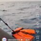 Tim SAR Gabungan temulan satu jaket pelampung dan botol putih, tetapi belum bisa dipastikan yang dikenakan para jurnalis, Rabu 10 September 2026. Foto: okezone