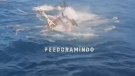 Sebuah kaoal tunda, Tugboat BMT 20 tenggelam di perairan Bawean, Gresik, Jatim, akibat dihantam gelombang, Sasa, 15 September 2026. Foto: instagram@feedgramindo