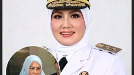Wakil gubernur Bangka Balitung Hellyana, 49, kini dinonaktifkan karena ditetapkan sebagai tersangka ijazah palsu. Foto: ist