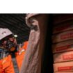 Harga semen naik