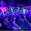 Gandrung Banyuwangi Glowing (ANTARA)