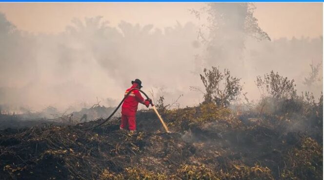 
					Karhutla Mengancam hingga 2027, Ambil Langkah Konkret