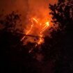 Terjadi kebakaran hebat di kawasan Gunung Arjuno dan Ringgiy, wilayaj Pasuruan dan Batu, Sabtu-Minggu, 17-18 Oktobet 2026. Foto: ist