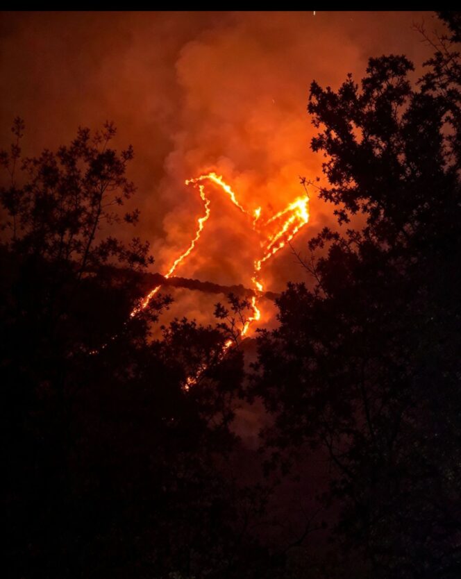 
					Terjadi kebakaran hebat di kawasan Gunung Arjuno dan Ringgiy, wilayaj Pasuruan dan Batu, Sabtu-Minggu, 17-18 Oktobet 2026. Foto: ist